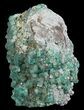 Fluorite & Galena Plate - Rogerley Mine (Special Price) #62069-1